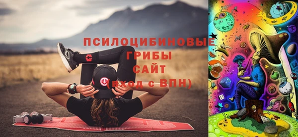 ПСИЛОЦИБИНОВЫЕ ГРИБЫ Вязьма