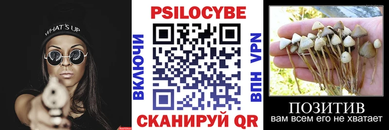 Купить закладки  Байкальск  Галлюциногенные грибы мицелий 